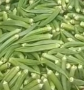 Bhindi