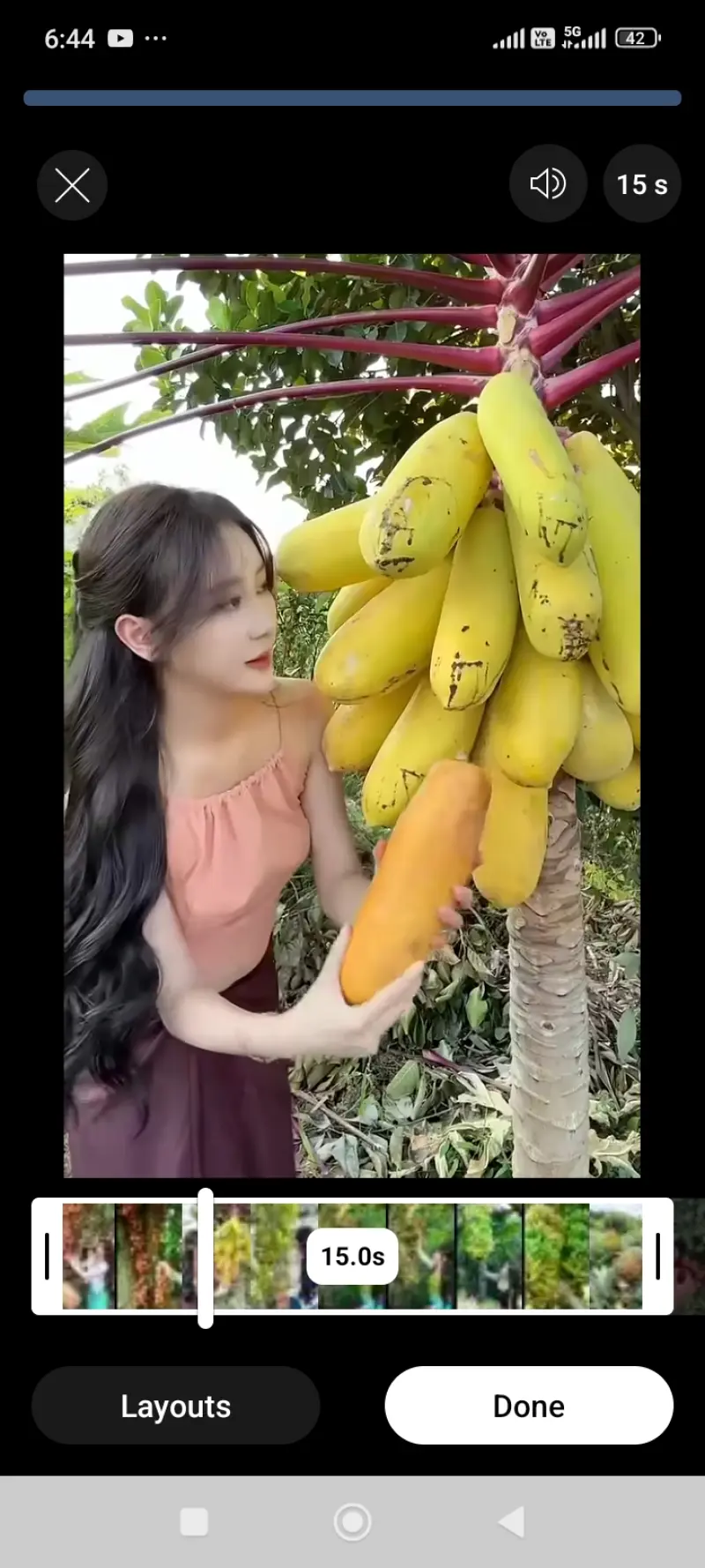 GURU NANAK DEV FRUIT COMPANY